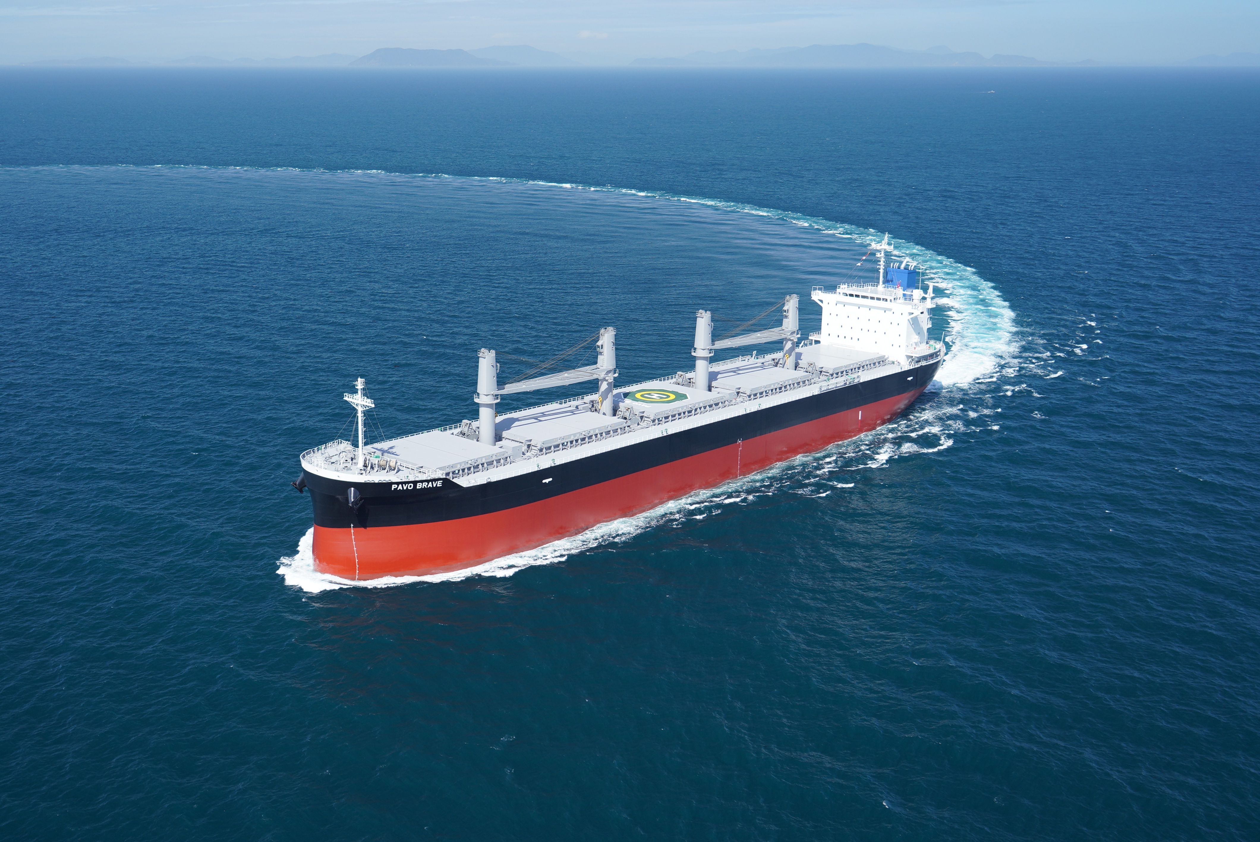 M/V PAVO BRAVE